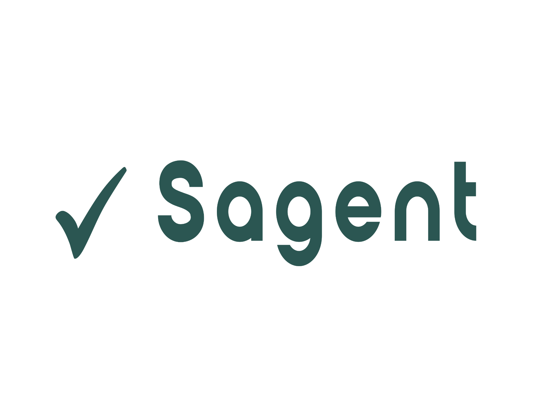Sagent Icon Springboard Media Solutions - Total Technology Solutions Provider